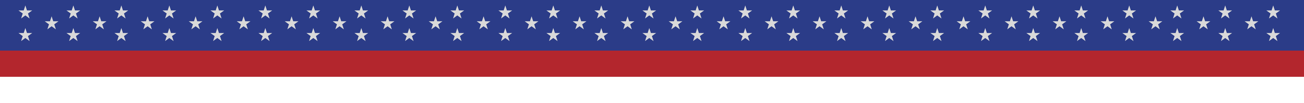 Decorative banner